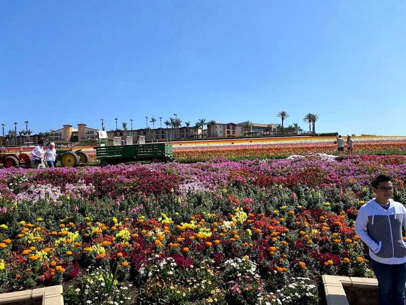 A Working Farm With Deep Local History
