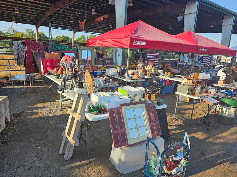 Seasonal Shows Keep the Experience Fresh Year-Round