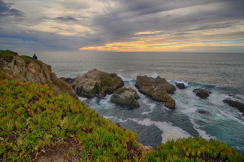 Bodega Bay, California