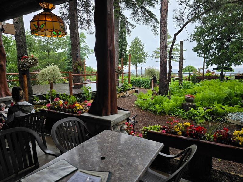 Backyard Garden Views That Look Like a Painting