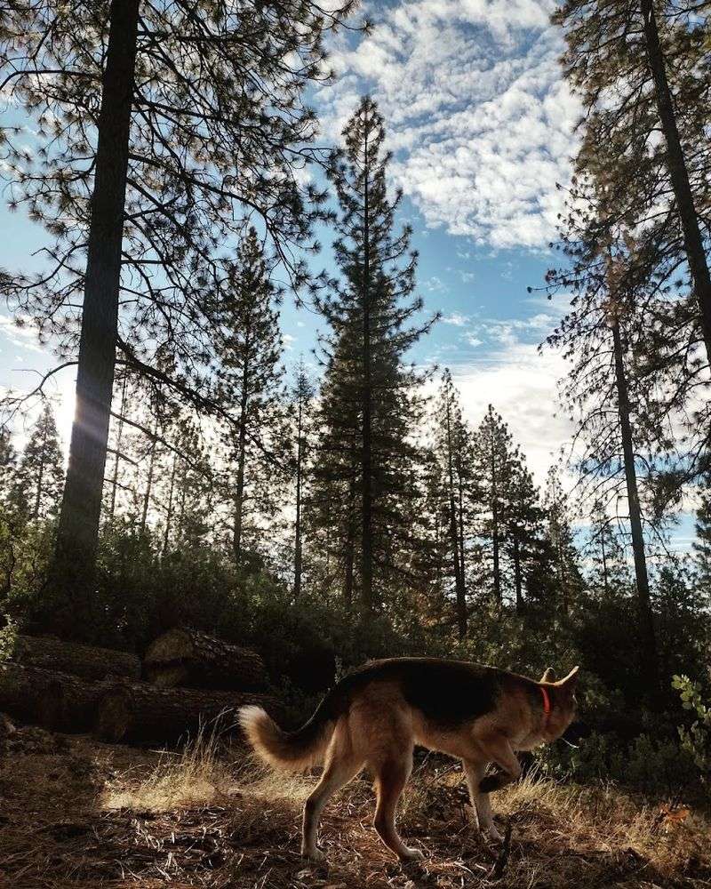 This California mountain town is winning over retirees with fresh air, slower days, and postcard views 6 Outdoor Activities Perfectly Suited for Active Seniors