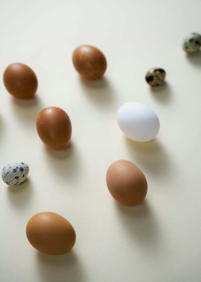Eggs