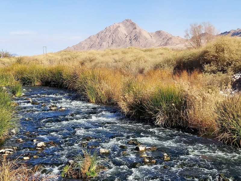 A Genuine Reset When City Life Feels Like Too Much