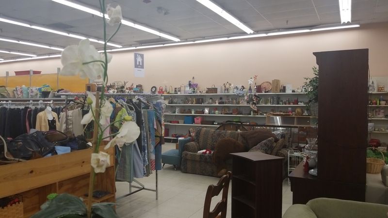 Treasure Hunt Vibes on Every Single Aisle