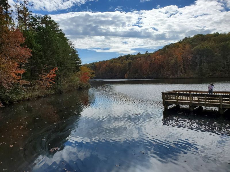 Fishing in the Park's Scenic Lakes