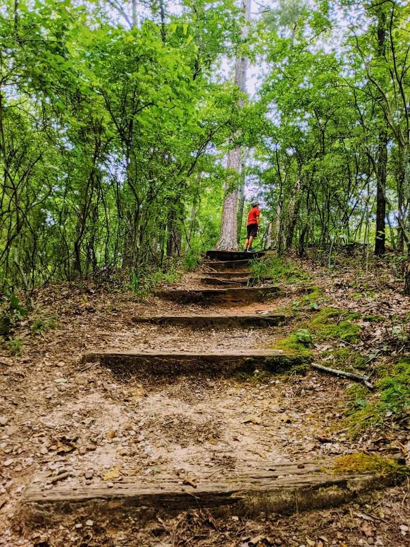 Disc Golf for Every Skill Level