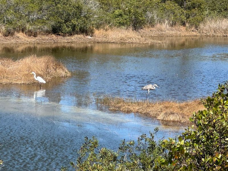 Incredible Wildlife Encounters Around Every Corner