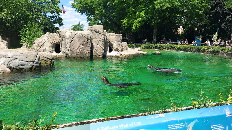 Bronx Zoo - Bronx, New York