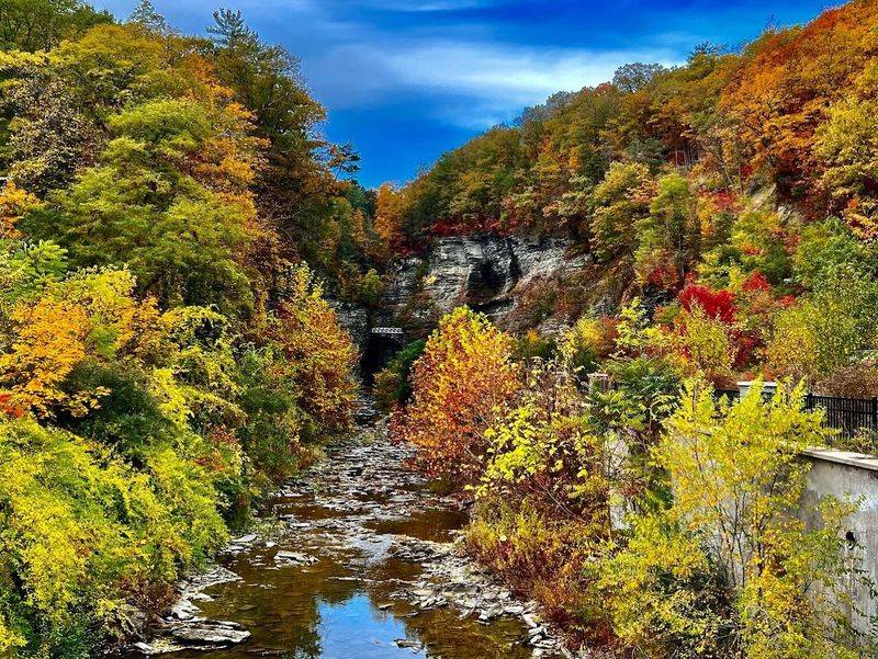Fall Foliage Season: Nature Turns Up the Volume