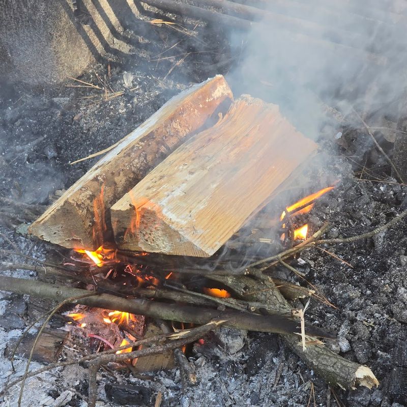 A hidden Texas state park filled with trails, trees, and hardly any crowds 11 A Rich History Dating Back to the 1930s