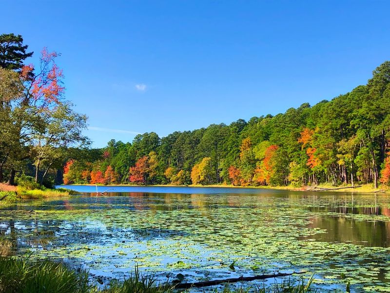 Incredible Fall Colors That Transform the Park
