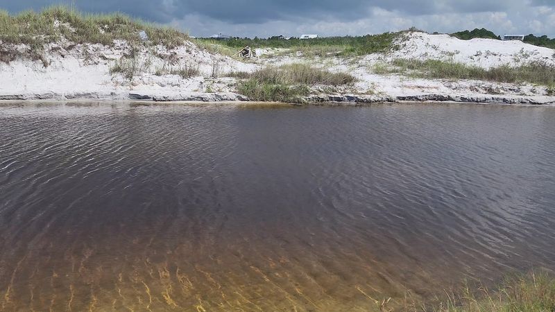 Rare Coastal Dune Lakes Found Almost Nowhere Else on Earth