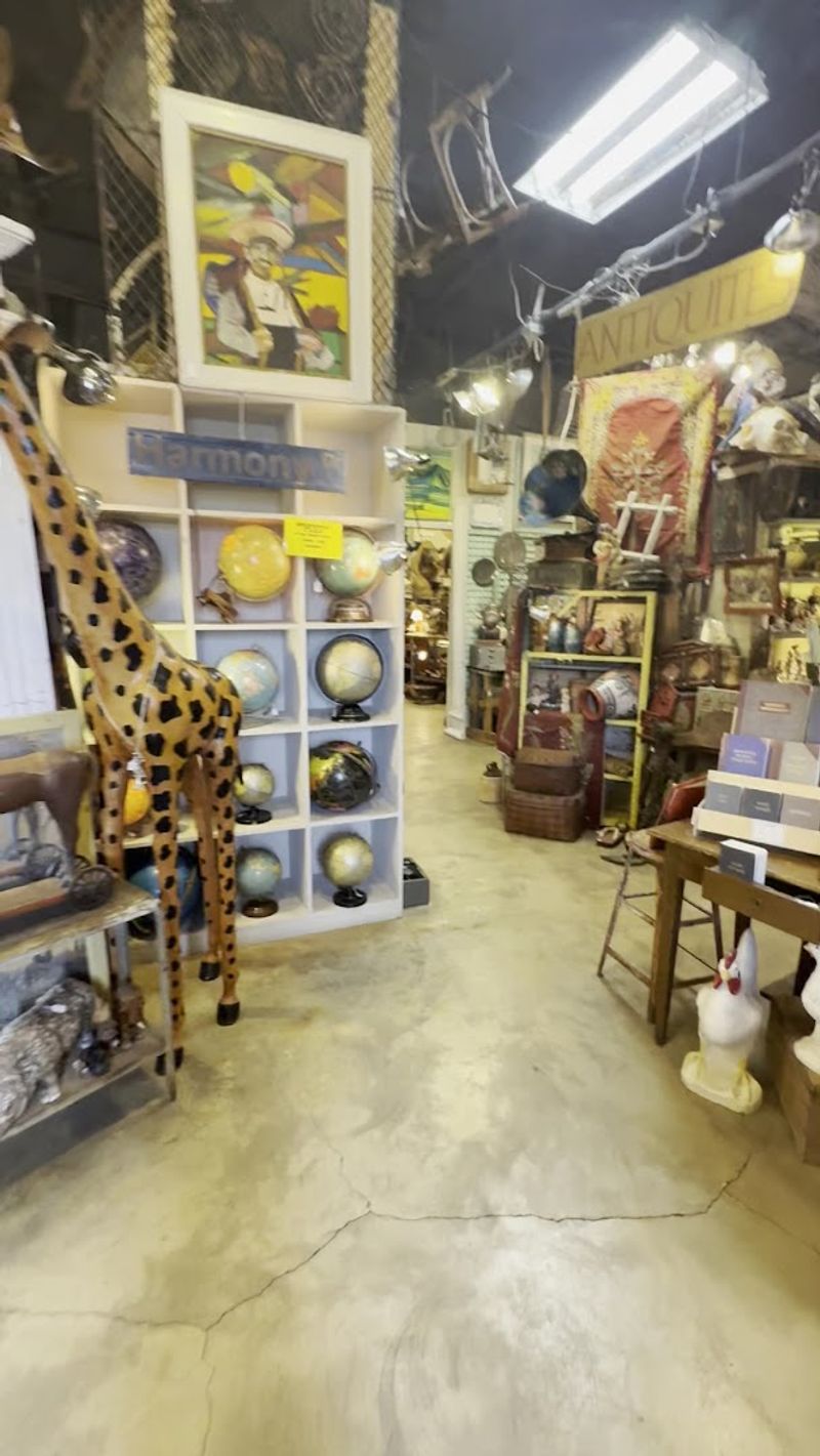 Knowledgeable and Friendly Staff