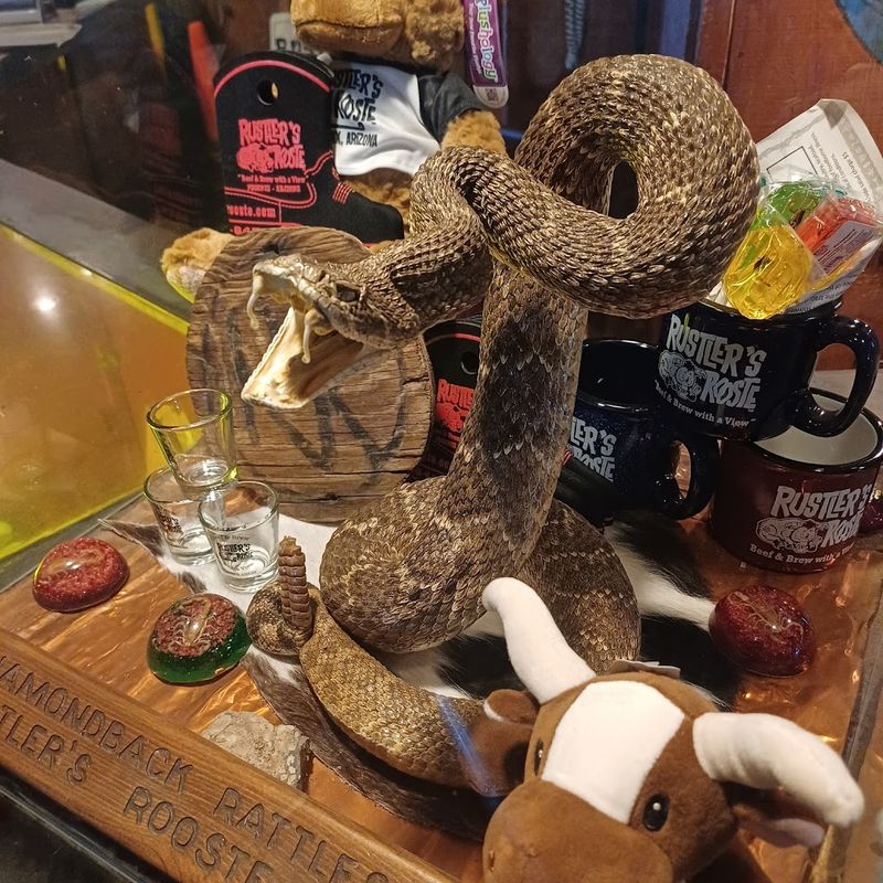 Rattlesnake on the Menu — Yes, Really