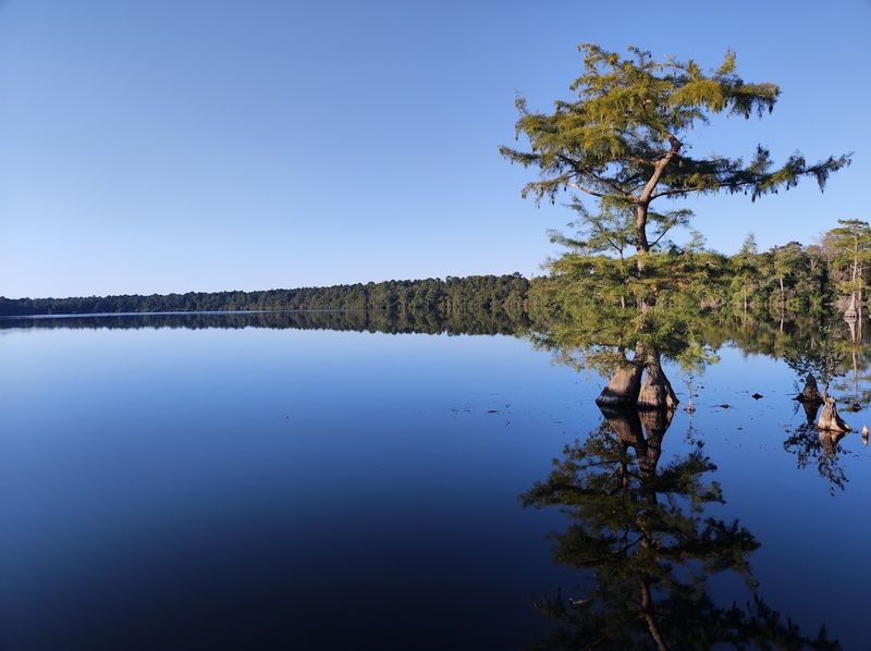 Jones Lake State Park - Elizabethtown, North Carolina