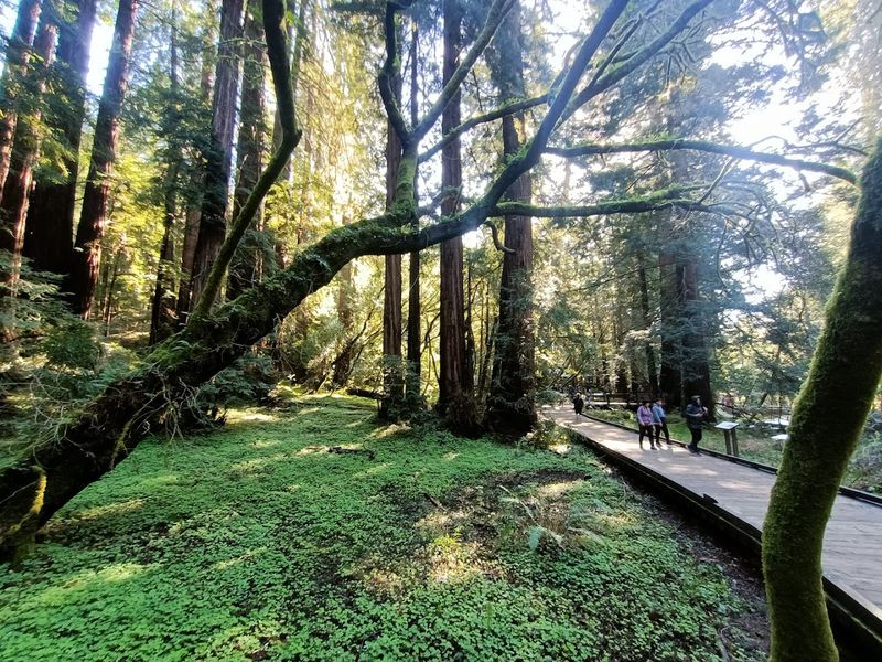 The Magical Light That Photographers Dream About