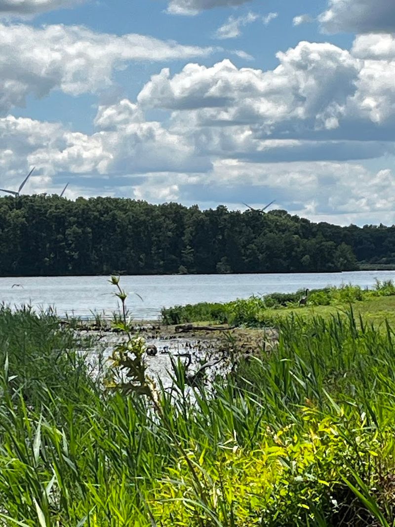 Evergreen Lake - Hudson, Illinois