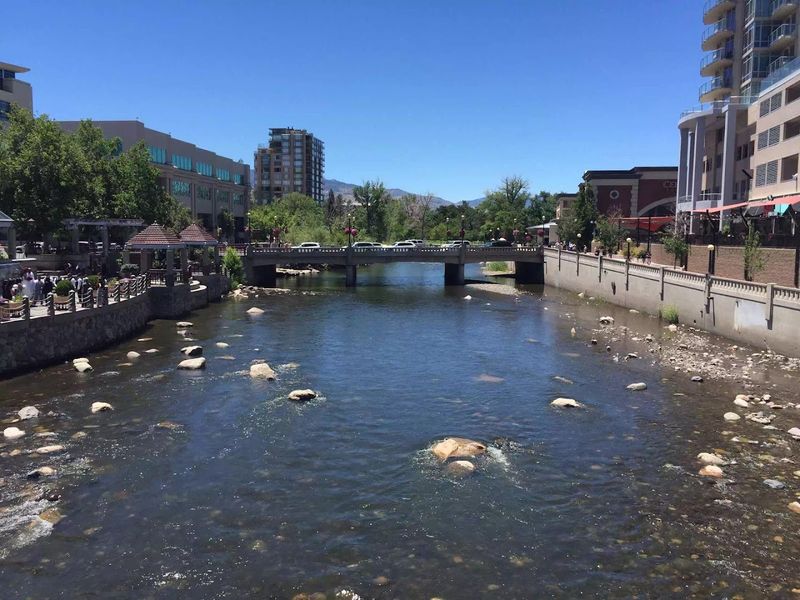 The Great Basin Brewing Company
