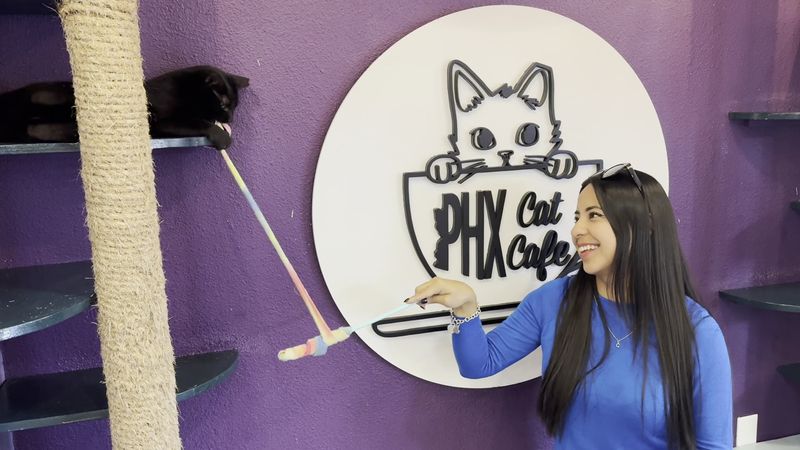 Friendly and Knowledgeable Staff