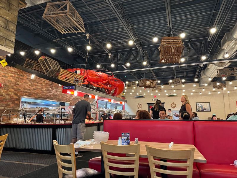 Reviews show both loyal fans and critics