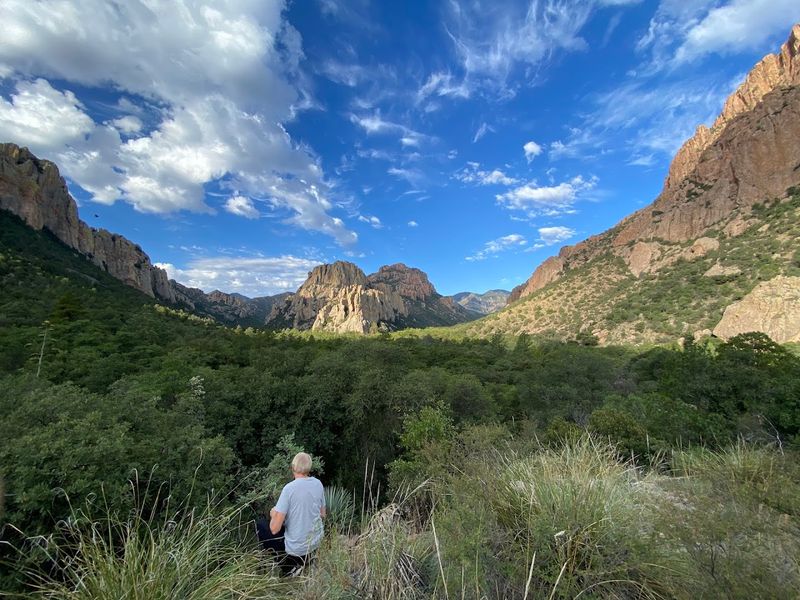 Stunning Scenery and Wildlife That Frame Every Meal