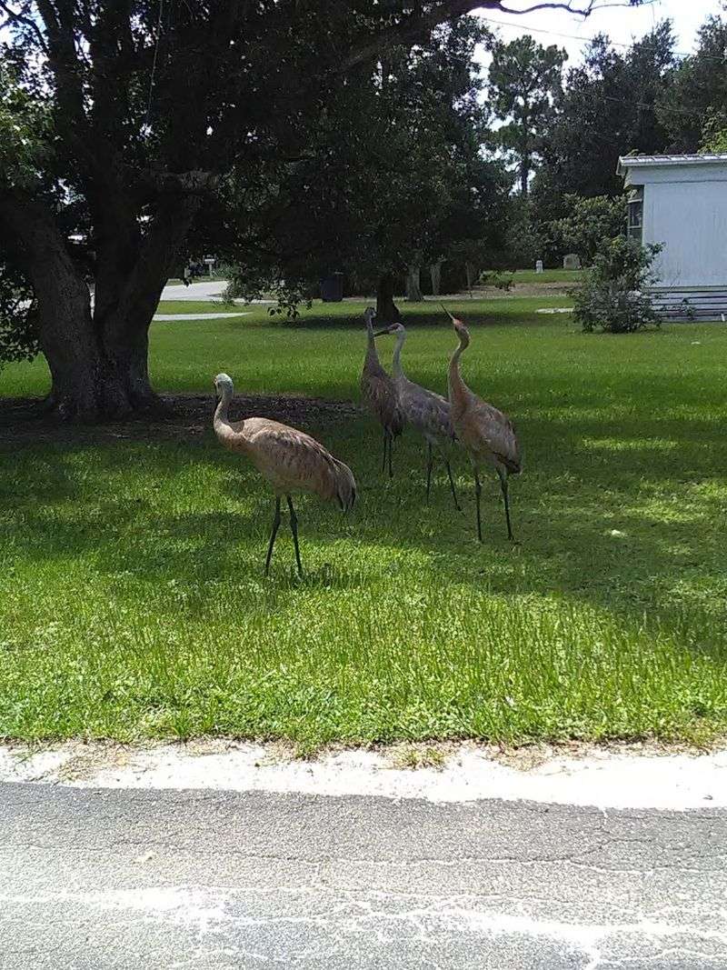 Wildlife and Nature Right Outside Your Door