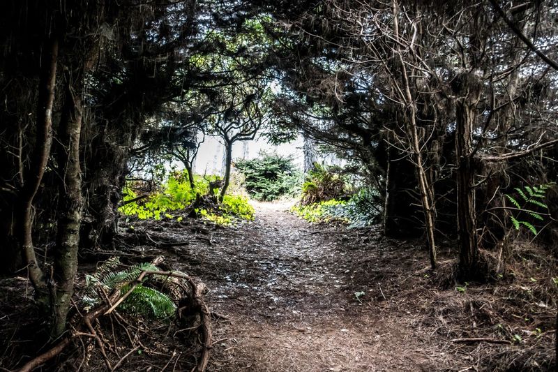 A small California state park that's simply too beautiful to keep secret 9 Tick Safety Tips Every Visitor Needs to Know Before Hitting the Trails