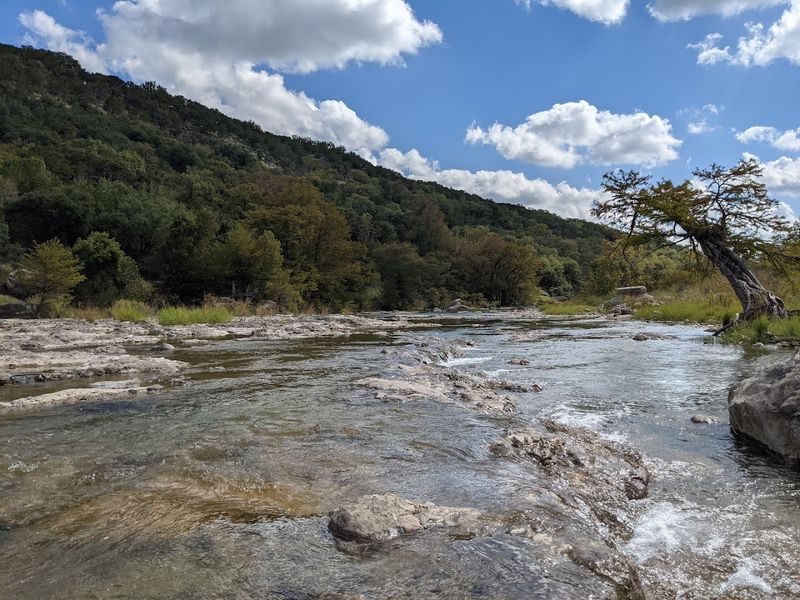 Camping Under a Sky Full of Stars