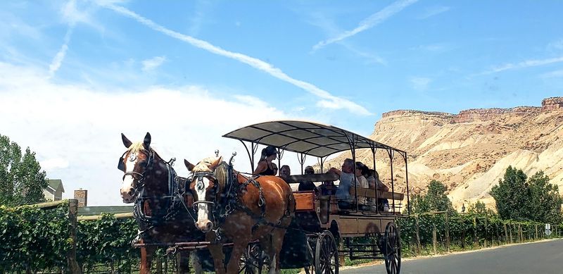 A Small Population with a Friendly Feel