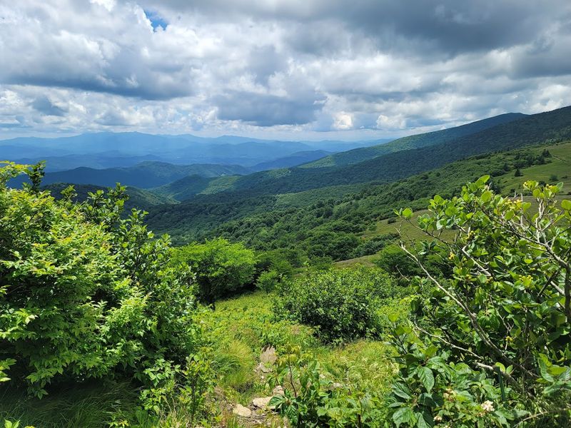Roan Mountain State Park - Roan Mountain, Tennessee