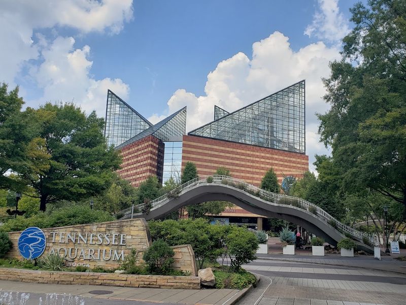 Tennessee Aquarium - Chattanooga, Tennessee