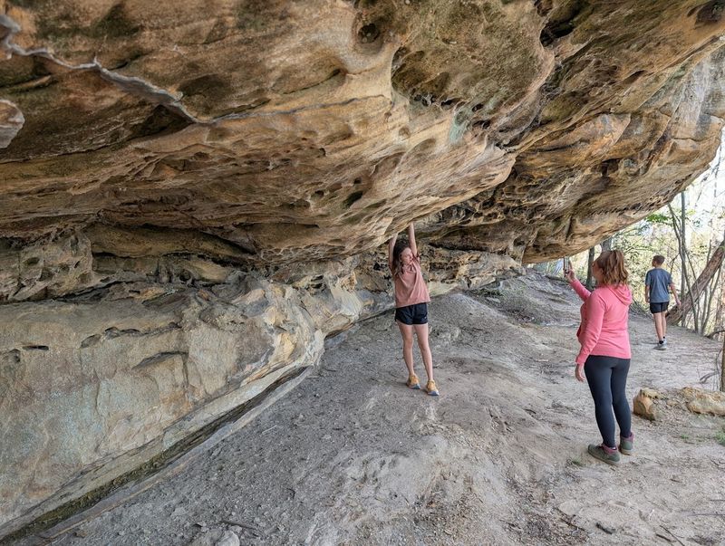 Rock Climbing at the Base of Bee Rock