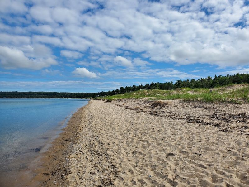 Swimming in the Shallow, Protected Bay Waters