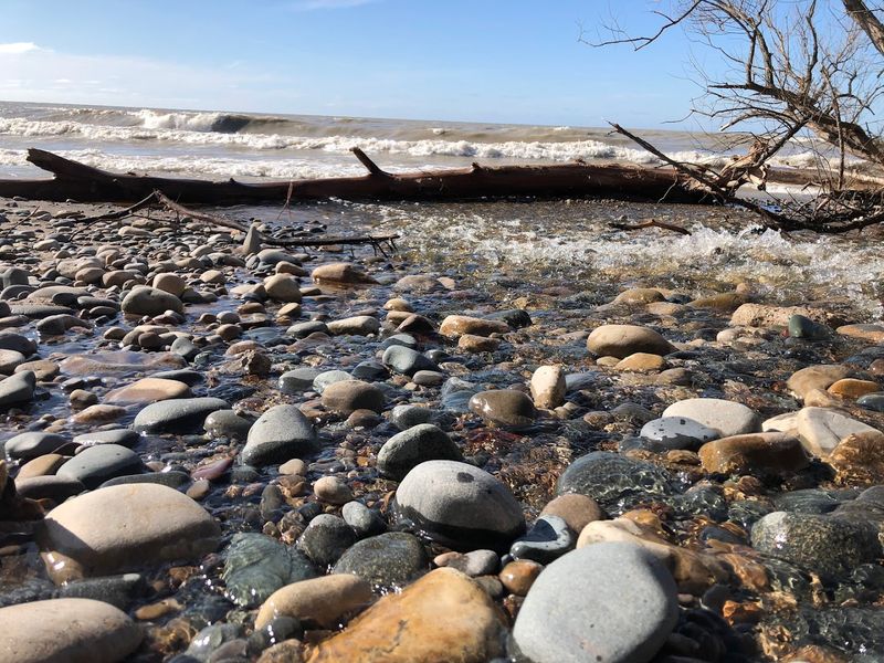 Rock Hunting on the Rocky Beach