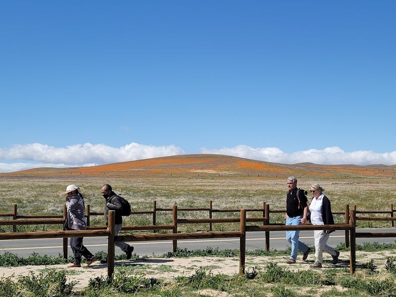 Eight Miles of Hiking Trails for Every Fitness Level