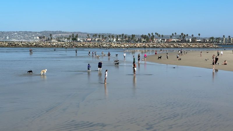 California Dog Beaches That Make Every Trip Better With Your Pup 3 Ocean Beach | Dog Beach - San Diego, California