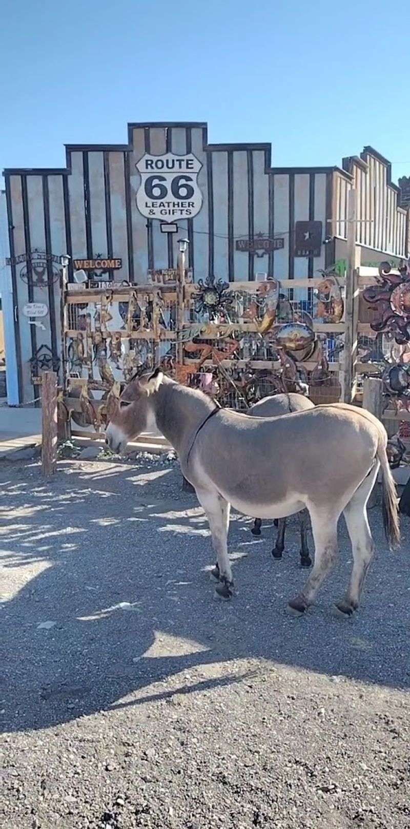 Route 66 — The Mother Road Runs Through It