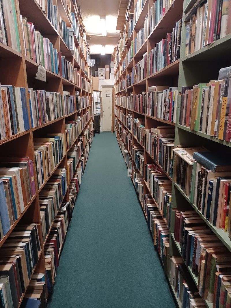 This Florida Bookstore Feels Like A Hidden Treasure Trove For Readers Who Love Getting Lost In The Shelves 4 Vintage Paperbacks in Incredible Condition With Collector Appeal