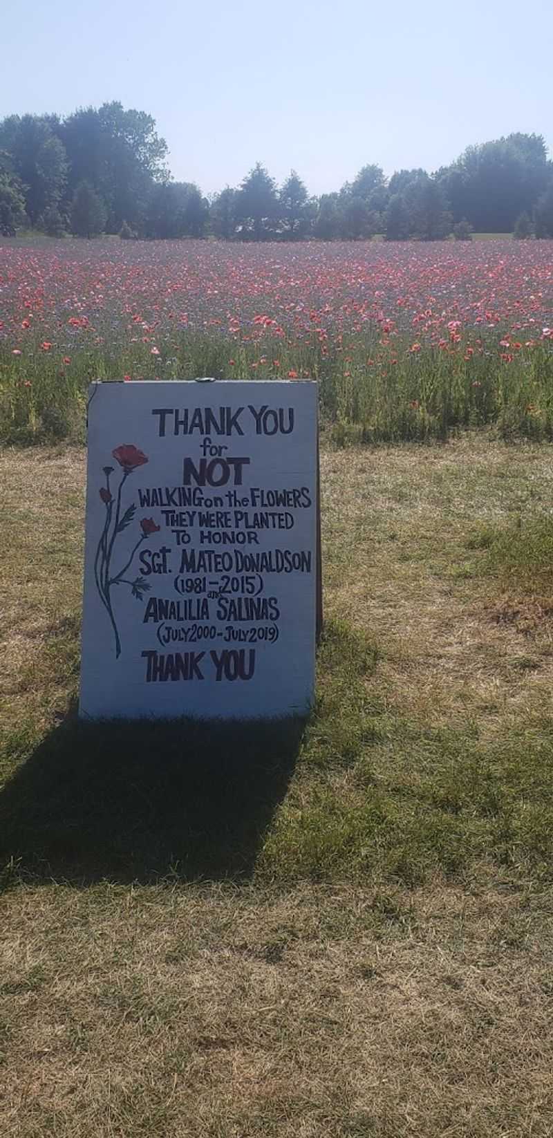 Rules of the Field — Please Stay on the Path