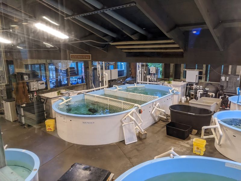 Marine Science Center - Ponce Inlet, Florida