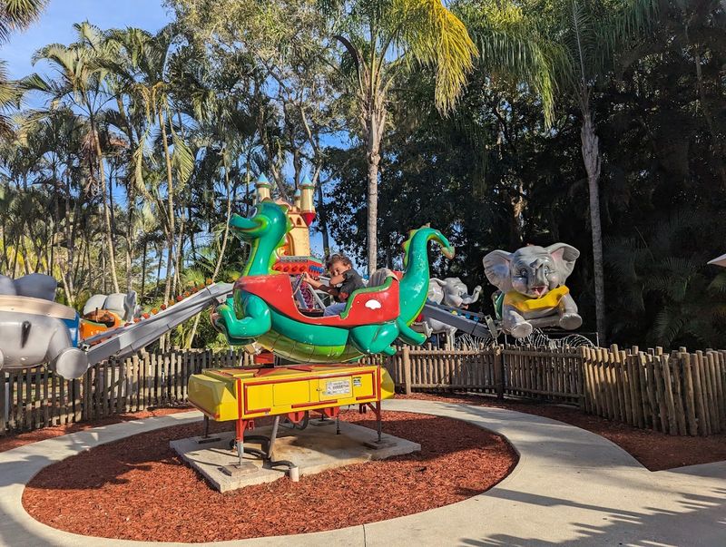 Rides and Amusement Area Included with Admission