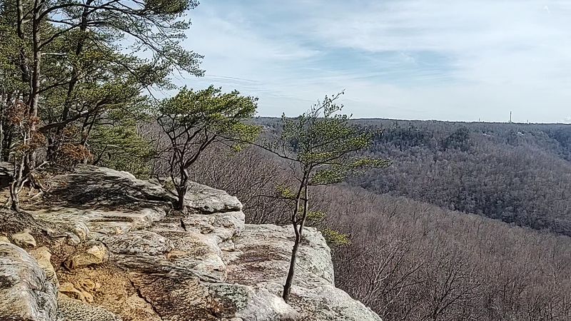 Safety Tips for Visiting the Open Cliff Edge