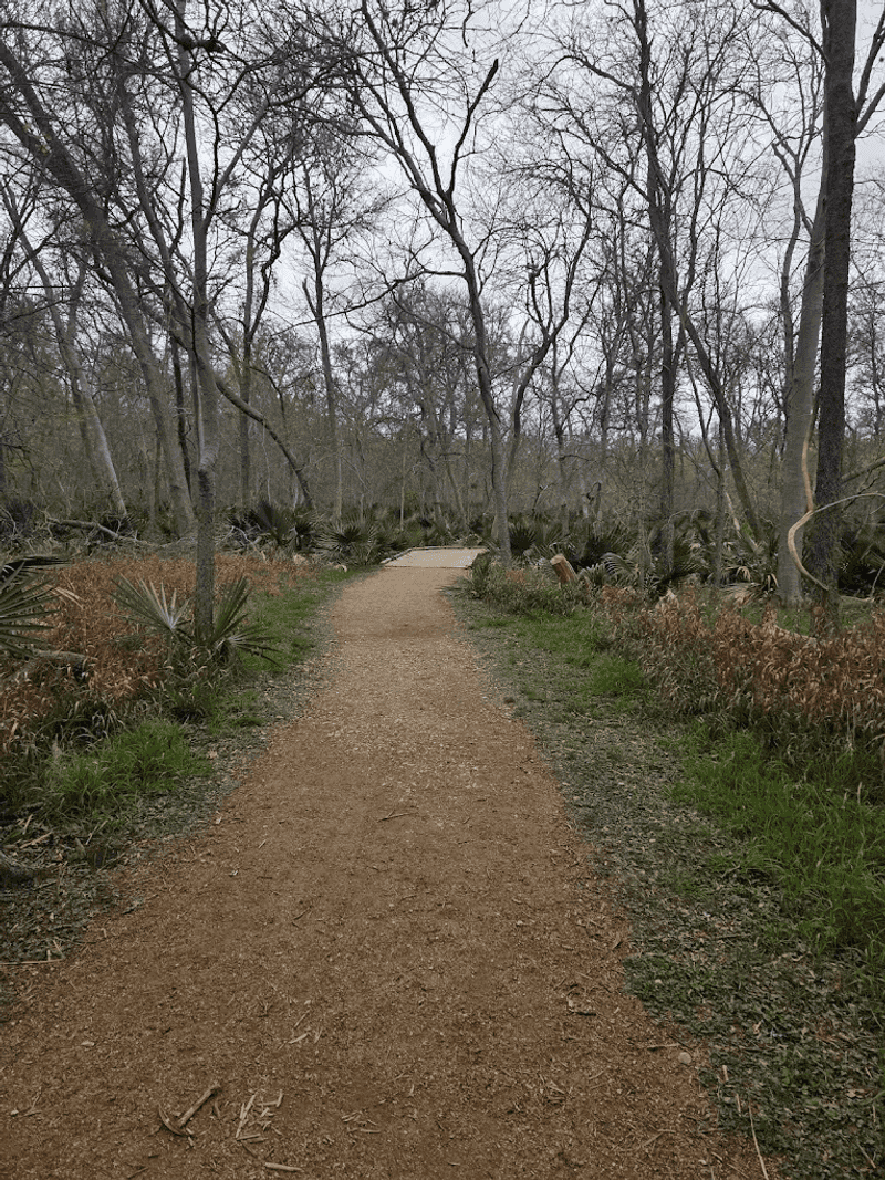 Hiking Trails That Wind Through Surprising Landscapes