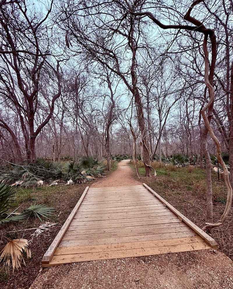 Hiking Trails That Wind Through Stunning Landscapes
