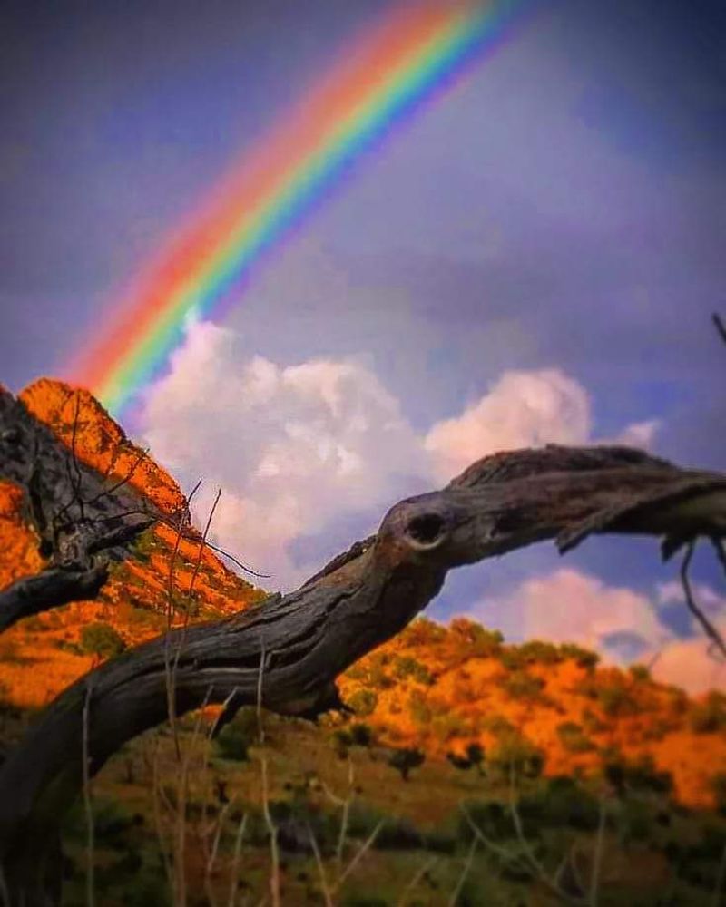 Kartchner Caverns Is Just a Short Drive Away