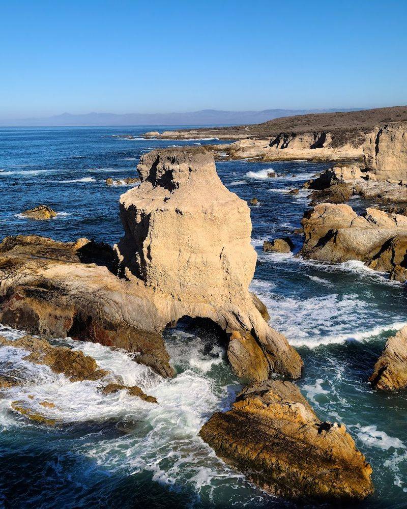 This Small California State Park Is Perfect For Letting Go Of Stress 10 Wildlife Watching: Surfers, Seabirds, and Sea Creatures