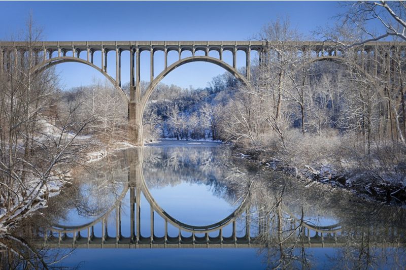 Wildlife Encounters: Who Might Be Watching You