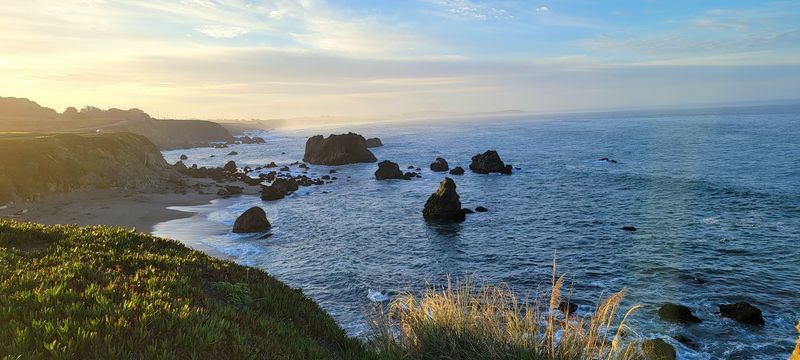Bodega Bay - California