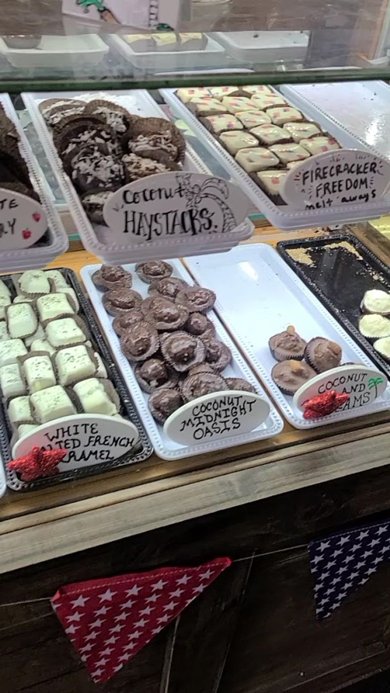 Turtle Tracks — A Local Fan Favorite