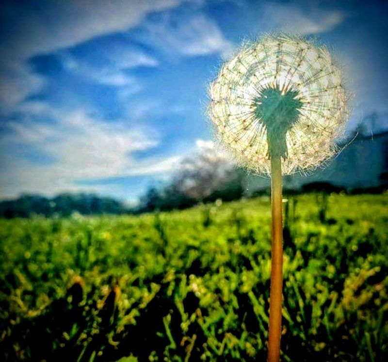 Community Events That Bring Everyone Together